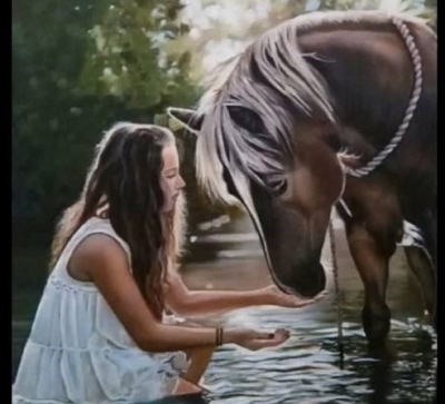 اساتید باتجربه